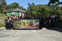 Click image Full size